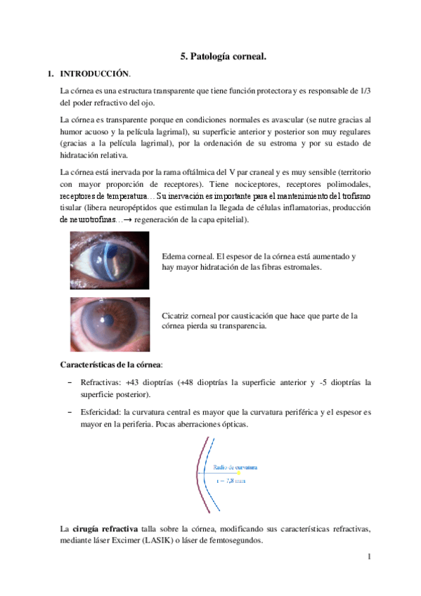Miniatura del documento 5.-Patologia-de-la-cornea.pdf