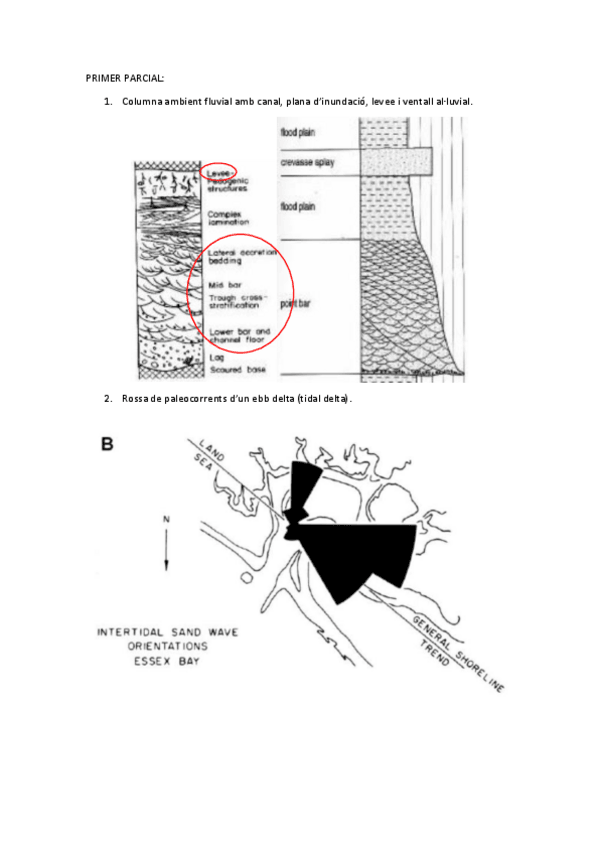 Miniatura del documento Preguntes-examens.pdf