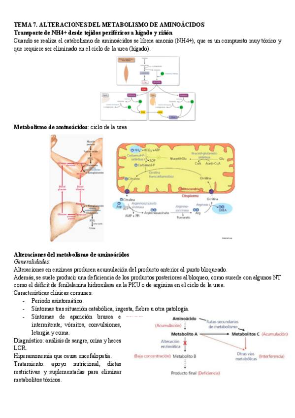 Miniatura del documento 2o-parcial-patologia.pdf