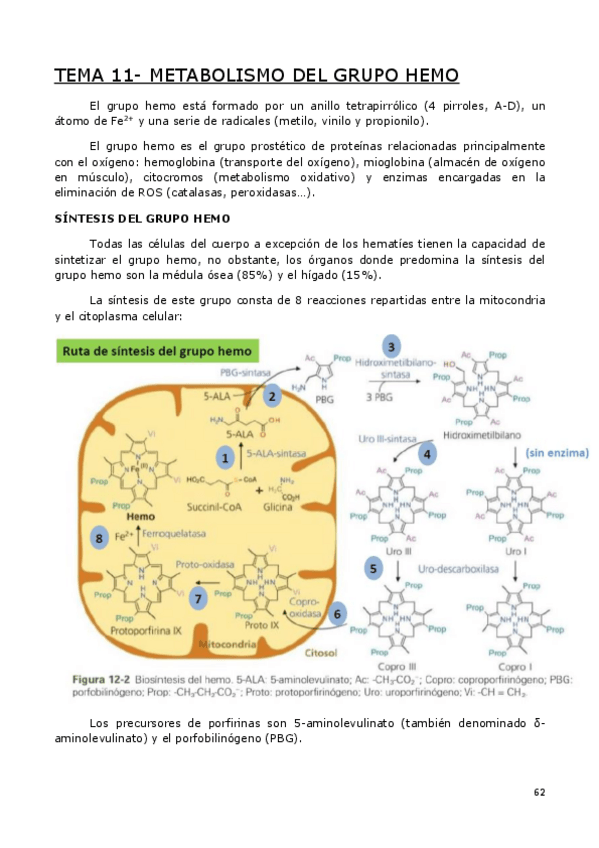 Miniatura del documento BIOCLI-PARTE-5-DE-9.pdf