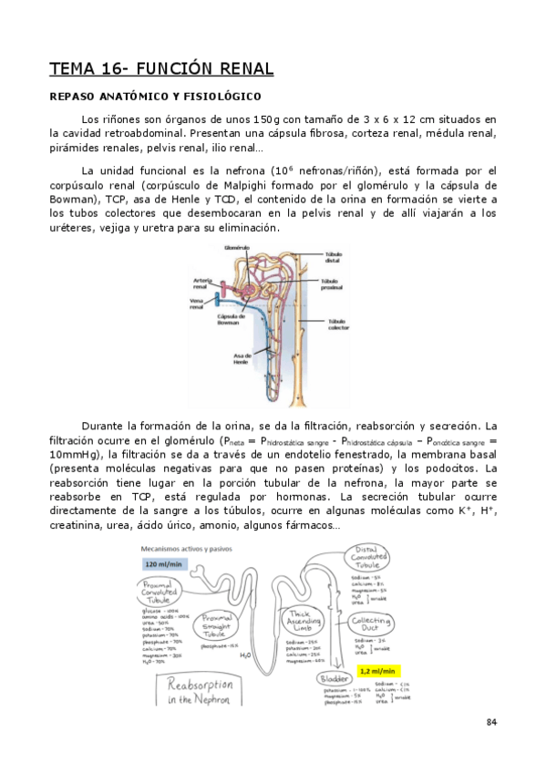 Miniatura del documento BIOCLI-PARTE-7-DE-9.pdf