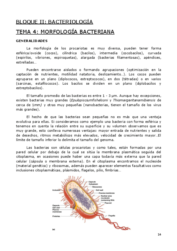 Miniatura del documento MICRO-PARA-PARTE-2-DE-8.pdf