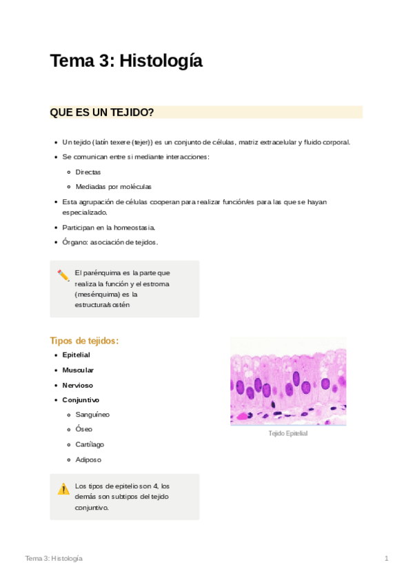 Miniatura del documento Tema-3-Histologia..pdf