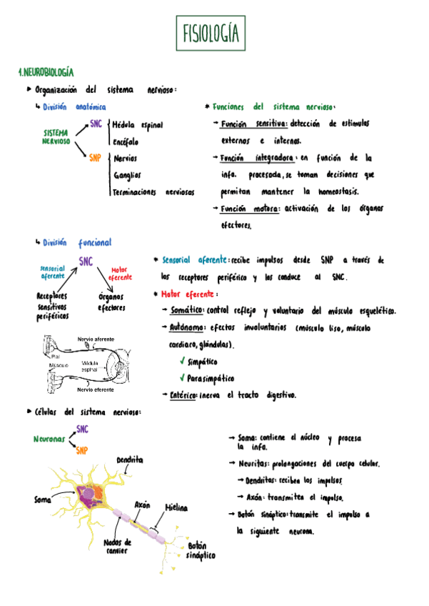 Miniatura del documento apuntes-tema-1-2-y-3.pdf