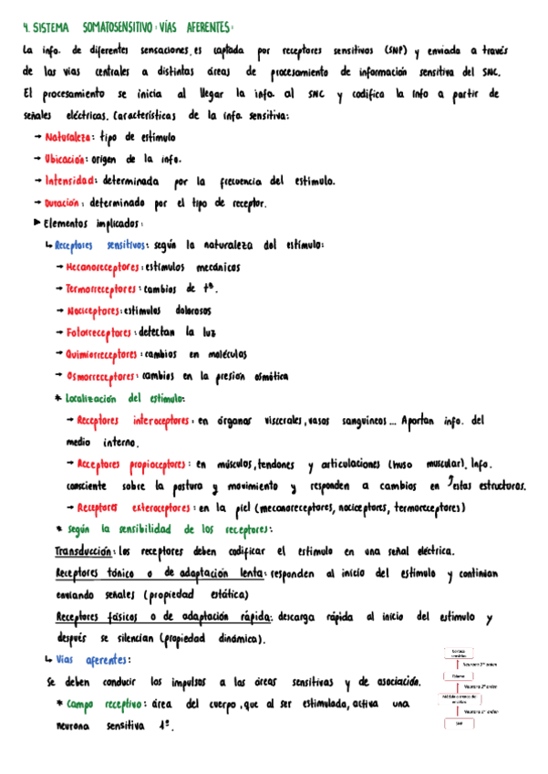 Miniatura del documento apuntes-tema-4.pdf