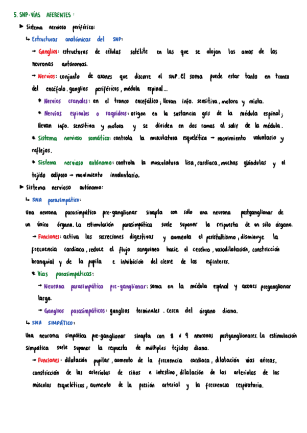 Miniatura del documento apuntes-tema-5.pdf