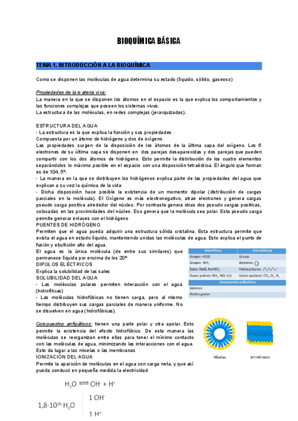 Miniatura del documento BIOQUIMICA-BASICA-2.pdf
