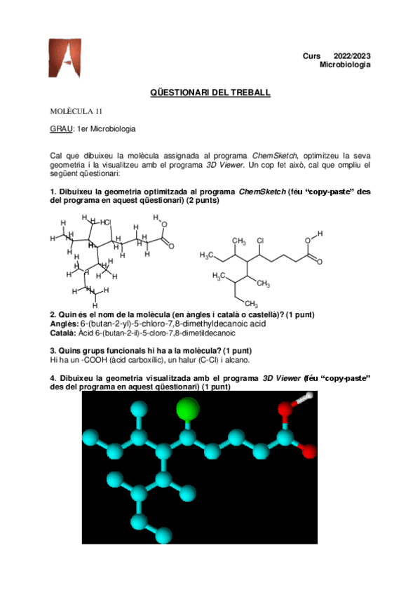 Miniatura del documento Questionari-Molecula.pdf
