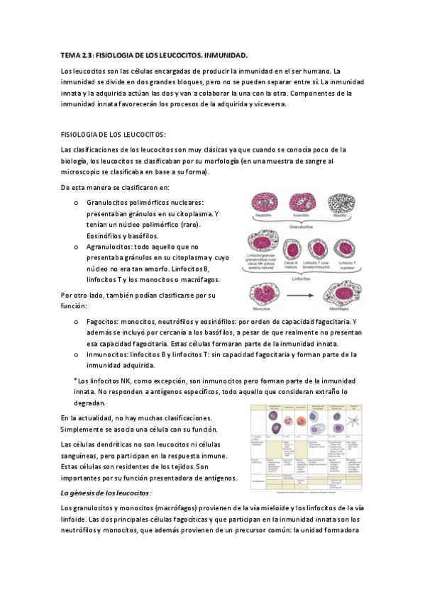 Miniatura del documento 2.3.pdf