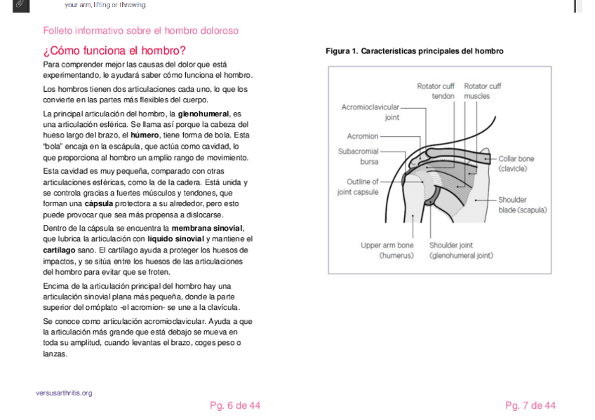 Miniatura del documento Folleto-informativo-hombro-doloroso-pg-6-7.pdf