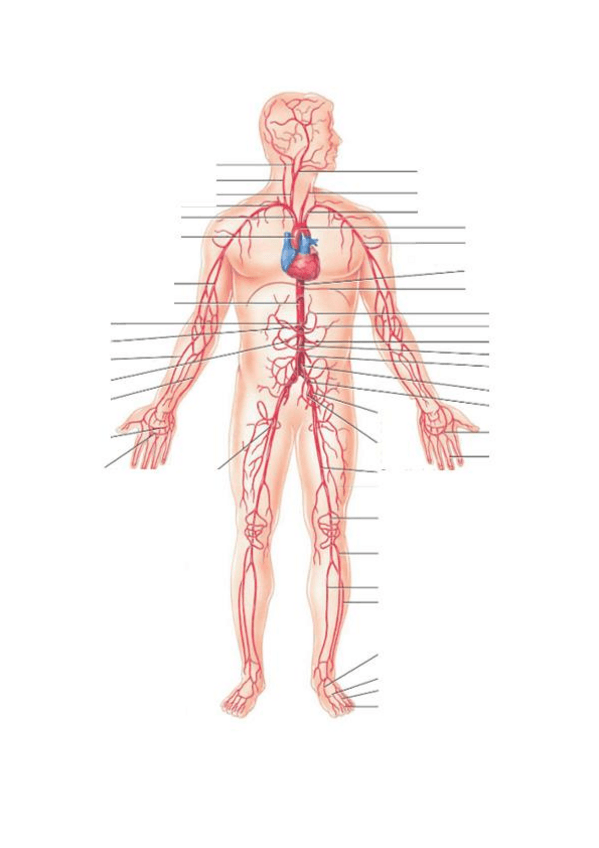 Miniatura del documento LAMINAS-PRACTICAR.pdf