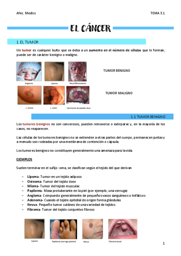 Miniatura del documento EL-CANCER-T3.1.pdf