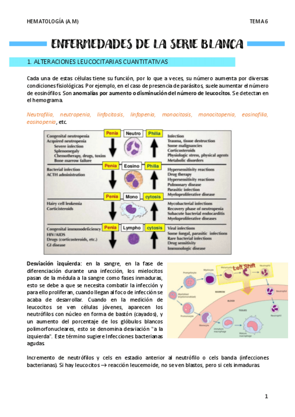 Miniatura del documento ENFERNEDADES-DE-LA-SERIE-BLANCA-T6.pdf