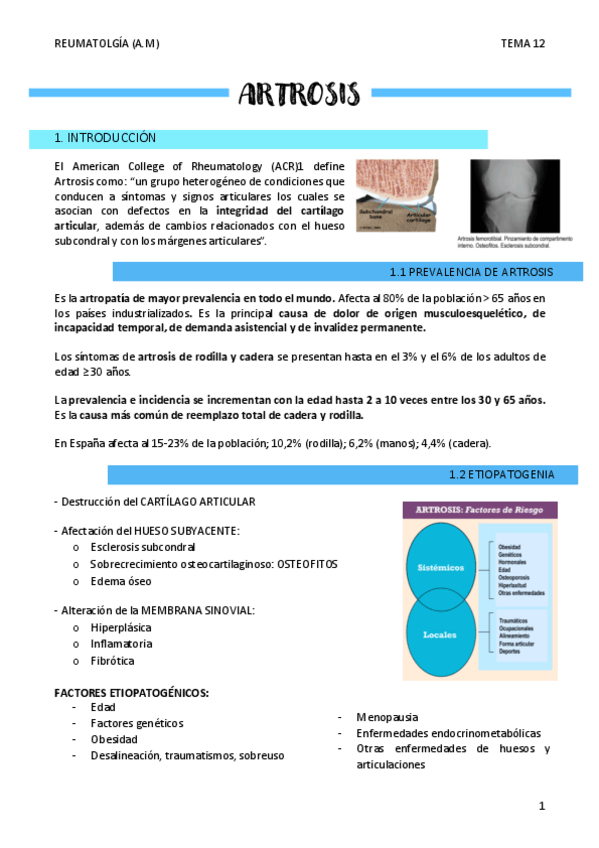 Miniatura del documento ARTROSIS-T12.pdf