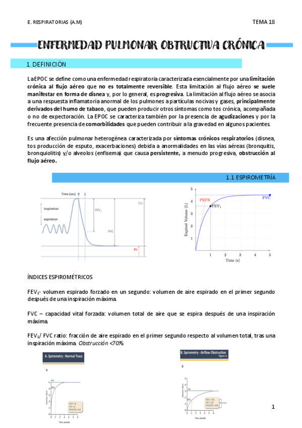Miniatura del documento ENFERMEDAD-PULMONAR-OBTRUCTIVA-CRONICA-T18.pdf