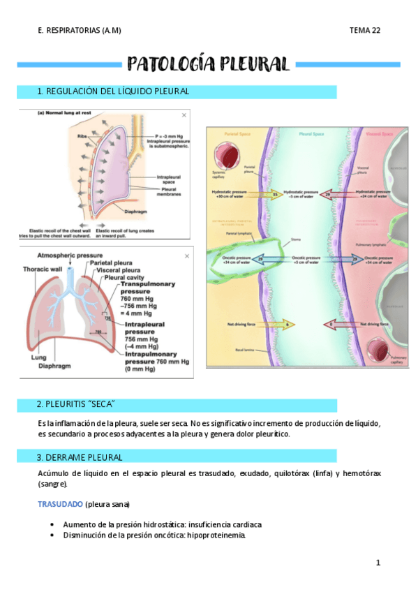 Miniatura del documento PATOLOGIA-PLEURAL-T22.pdf
