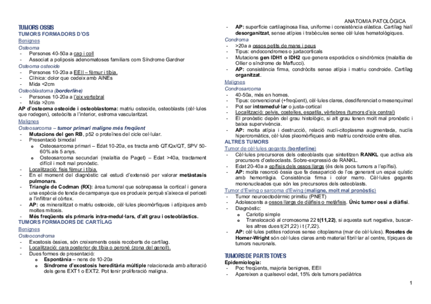 Miniatura del documento ApuntsAPA.pdf