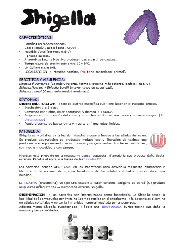 Miniatura del documento SHIGELLA.pdf