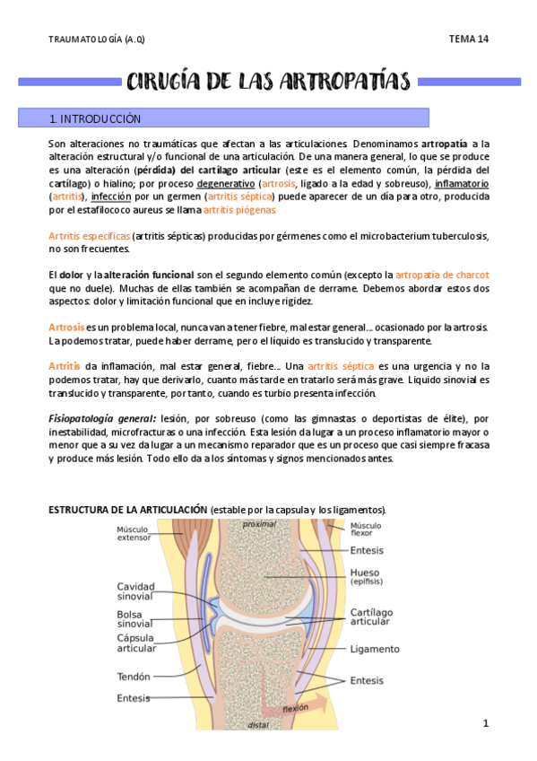 Miniatura del documento CIRUGIA-DE-LAS-ARTROPATIAS-T14.pdf