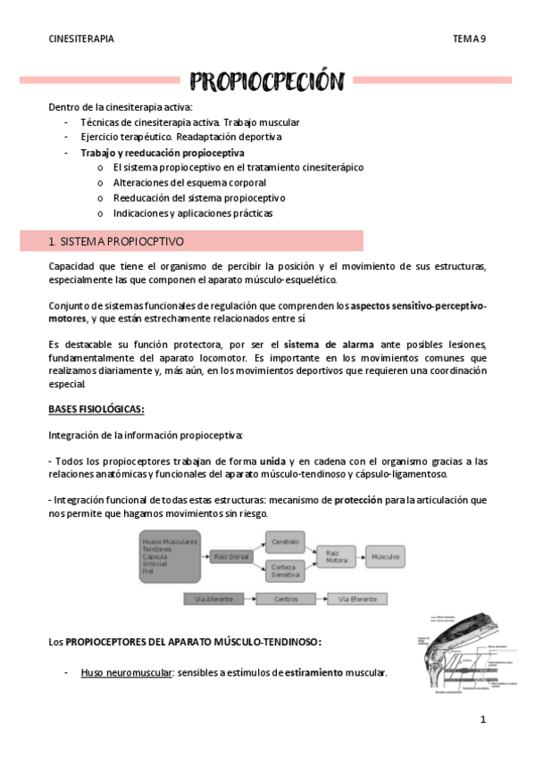 Miniatura del documento PROPIOCPECION-T9.pdf