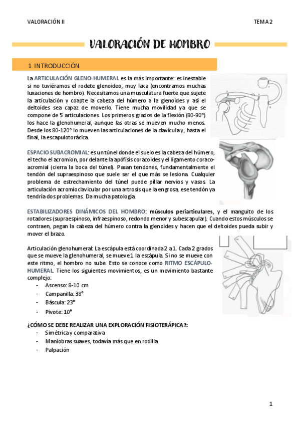 Miniatura del documento VALORACION-DE-HOMBRO.pdf