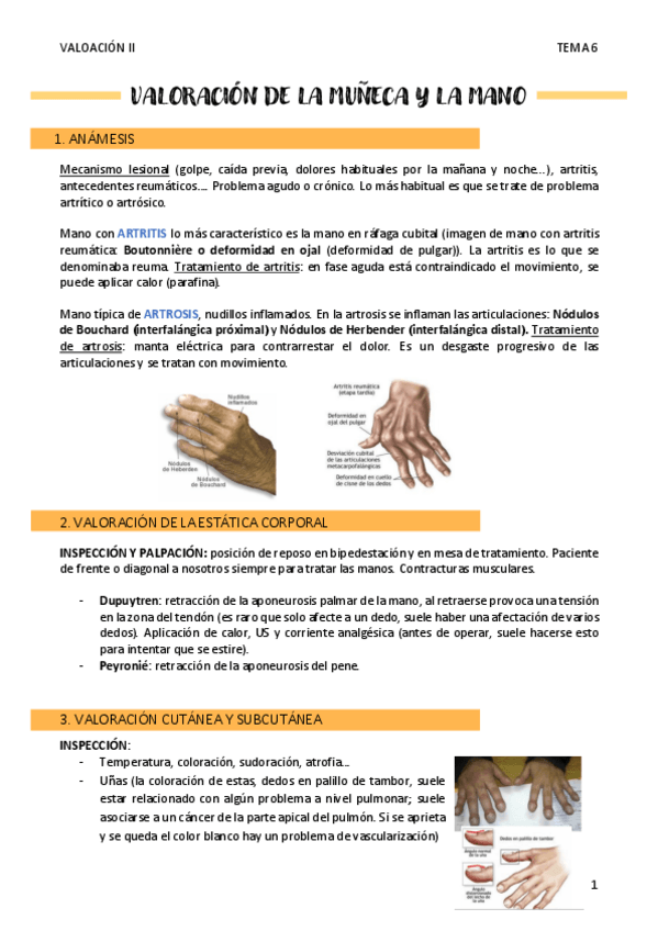 Miniatura del documento VALORACION-DE-LA-MUNECA-Y-LA-MANO.pdf