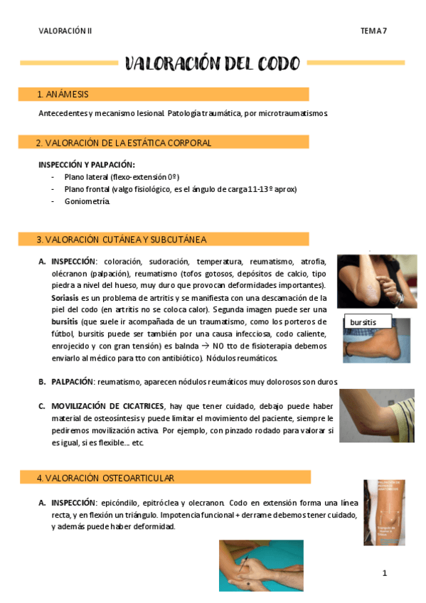 Miniatura del documento VALORACION-DEL-CODO.pdf