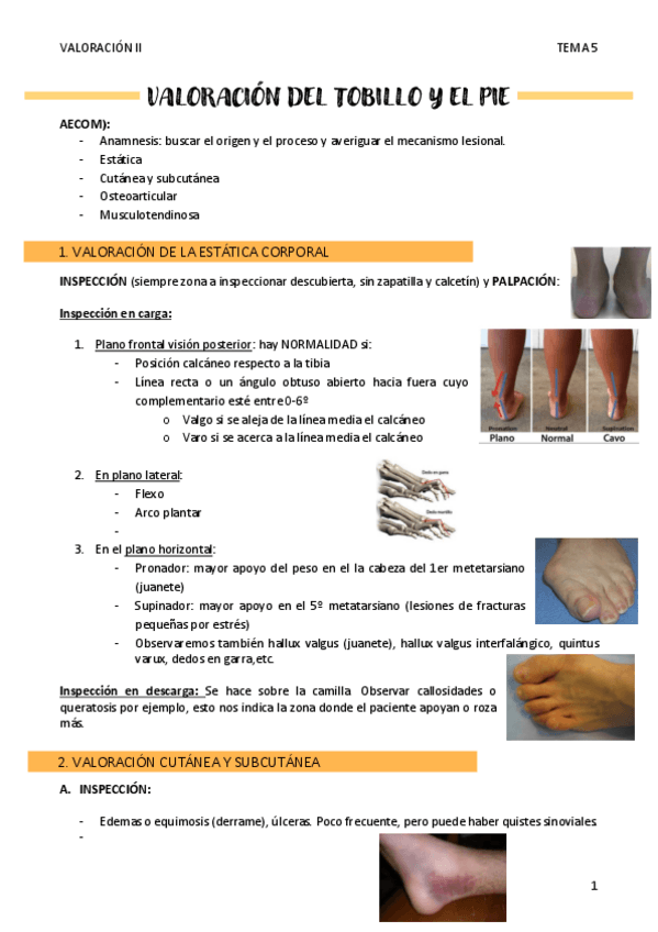 Miniatura del documento VALORACION-DEL-TOBILLO-Y-EL-PIE.pdf