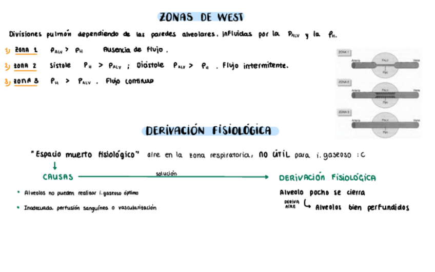Miniatura del documento zonas-de-west-y-der-fisiologica.pdf