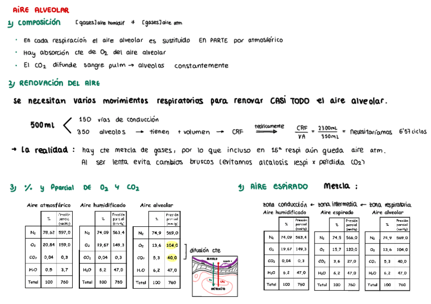 Miniatura del documento aire-alveolar.pdf