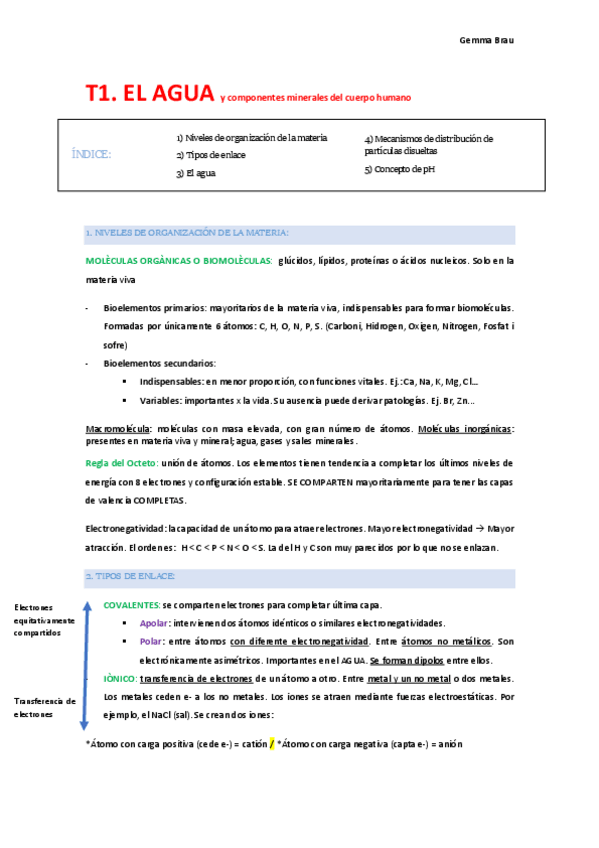 Miniatura del documento Apuntes-bioquimica--1oMED.pdf