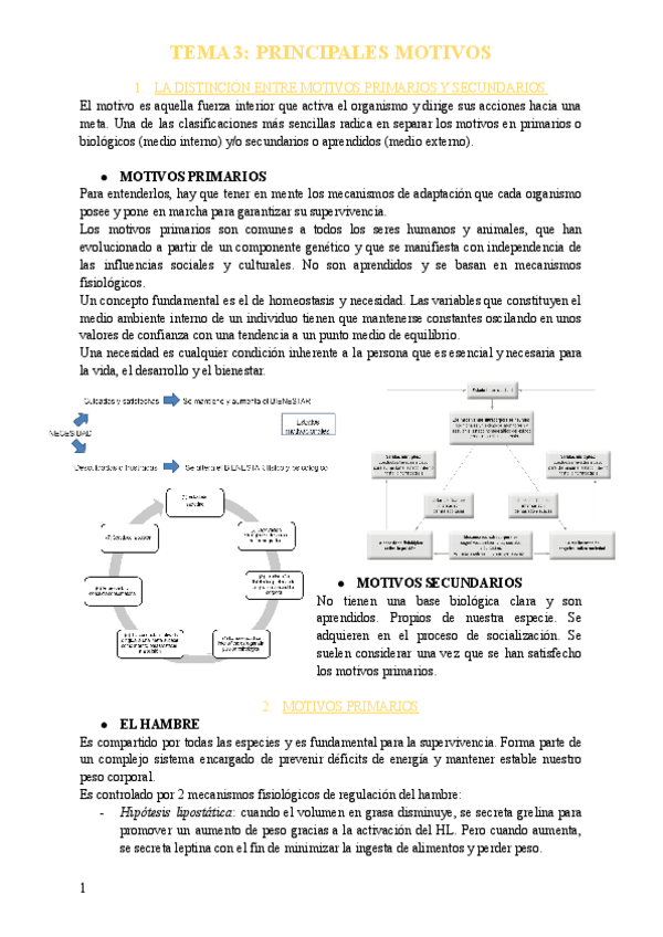 Miniatura del documento TEMA-3-MOTIVACION-Y-EMOCION.pdf