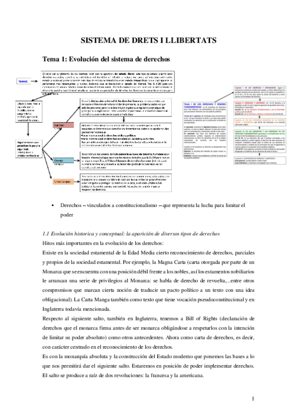 Miniatura del documento Apuntes-Sistema-de-Derechos-y-Libertades.pdf