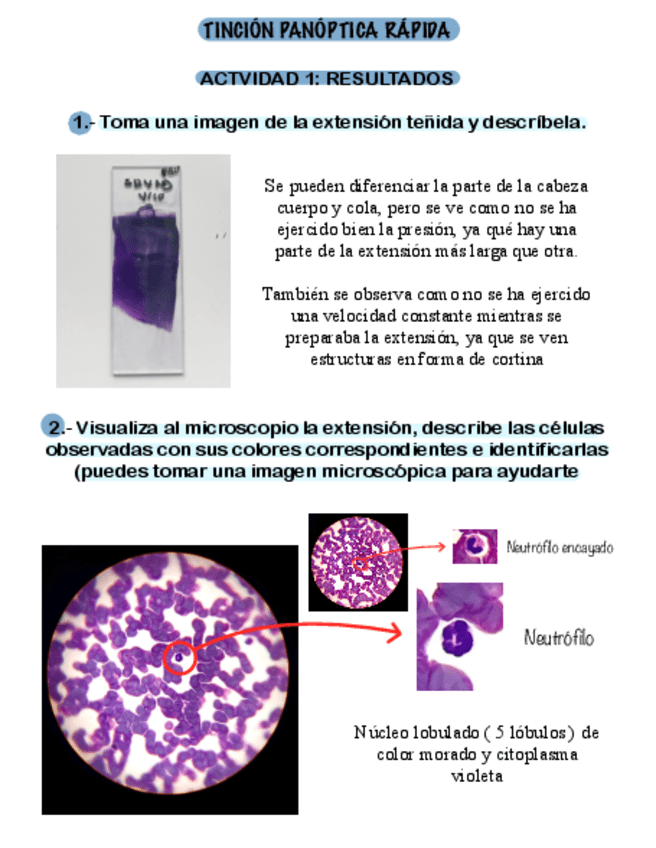 Miniatura del documento Tincion-Panoptica-Rapida.pdf