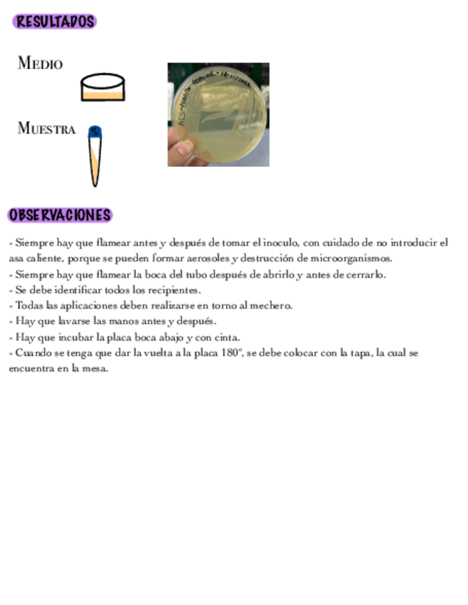 Miniatura del documento SIEMBRA-POR-AGOTAMIENTO-DE-ASA-EN-ZIGZAG.pdf