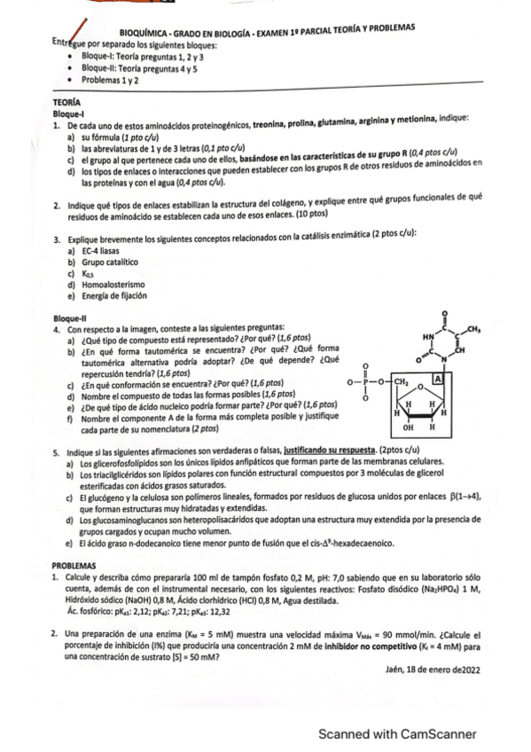 Miniatura del documento I-Parcial-Bioquimica-2022.pdf
