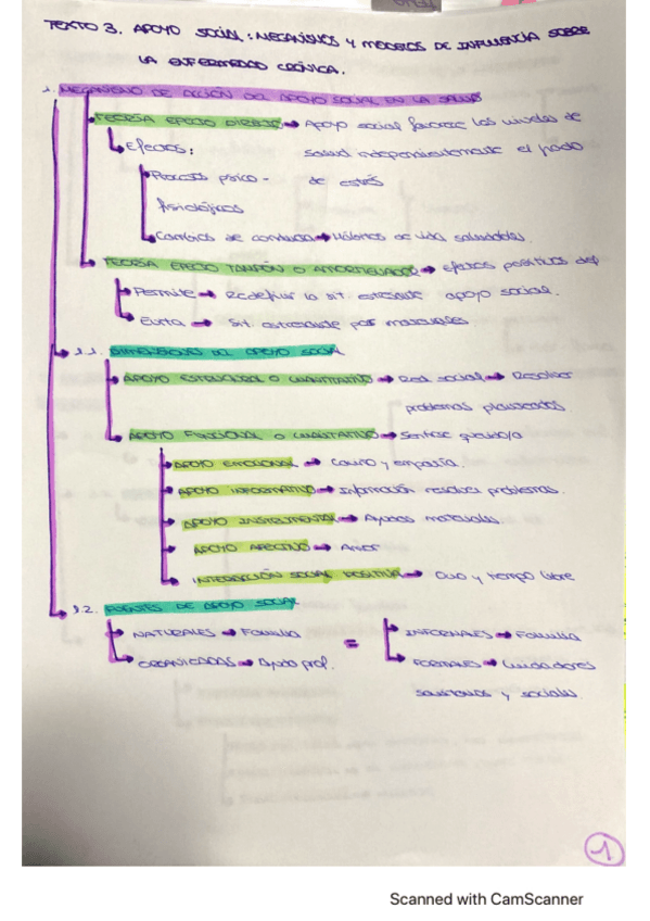 Miniatura del documento TEXTO-APOYO-SOCIAL-TEMA-3.pdf