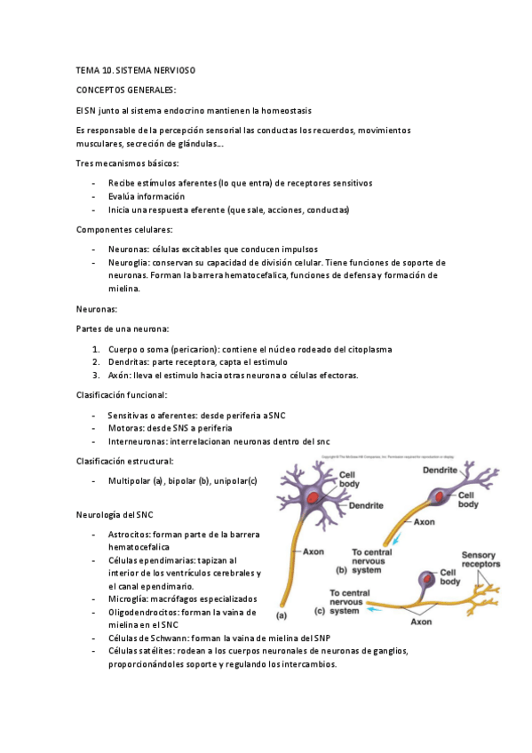Miniatura del documento TEMA-10.-SN.pdf