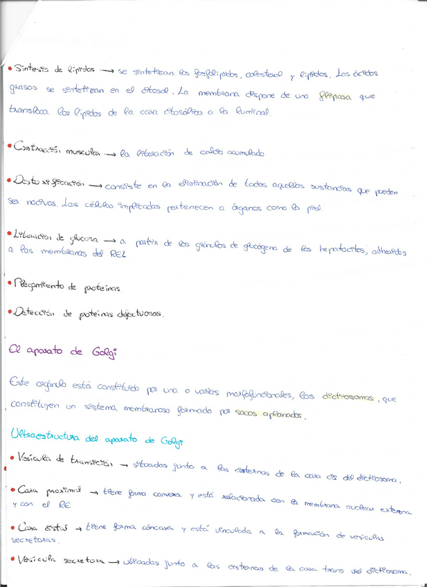 Miniatura del documento Escaner20230117-7.pdf