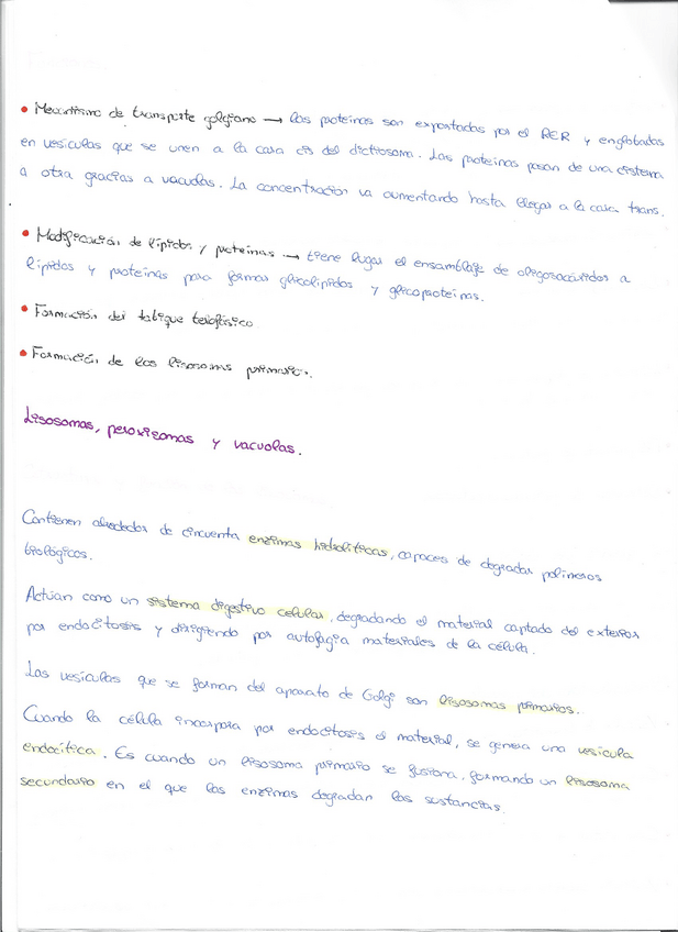 Miniatura del documento Escaner20230117-8.pdf