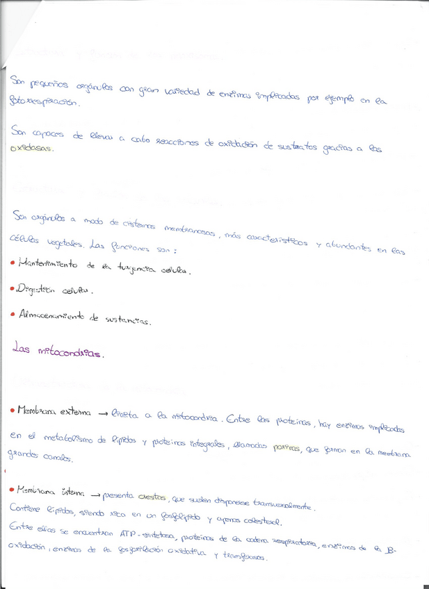 Miniatura del documento Escaner20230117-9.pdf