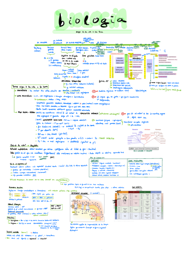 Miniatura del documento Biologia-Micro.pdf