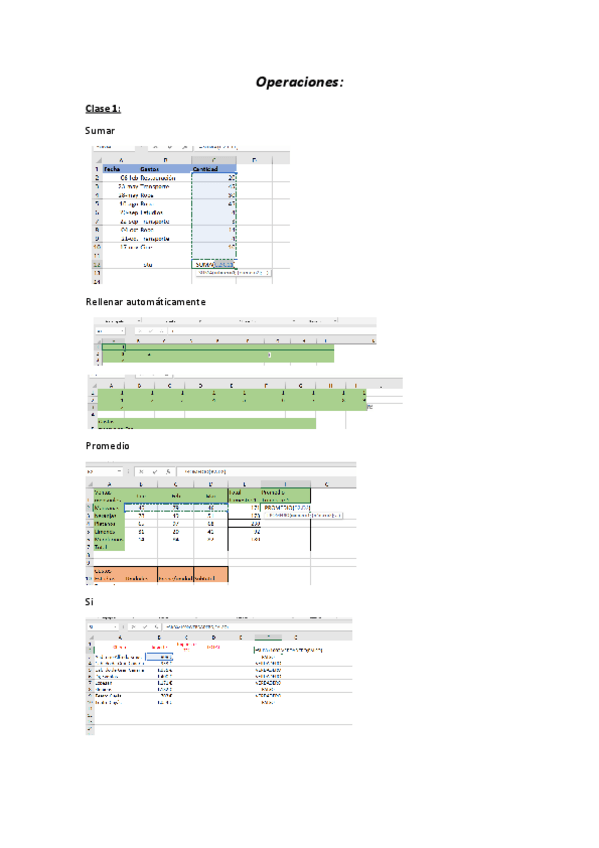 Miniatura del documento Apuntes-excel.pdf