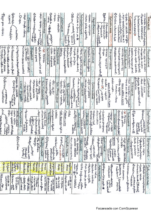 Miniatura del documento Botanica.pdf