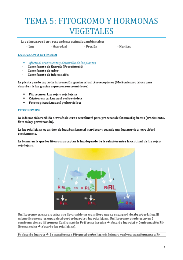 Miniatura del documento TEMA-5.pdf
