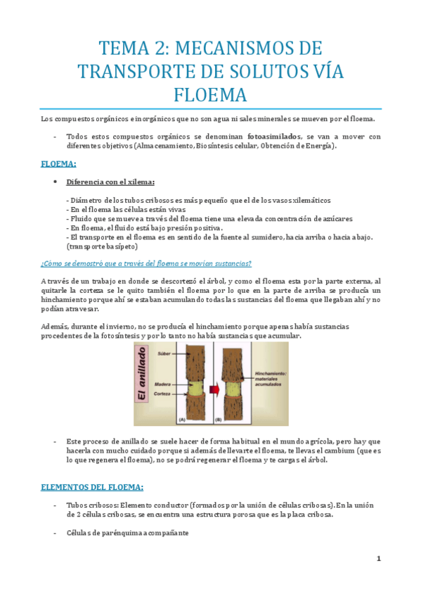 Miniatura del documento TEMA-2.pdf