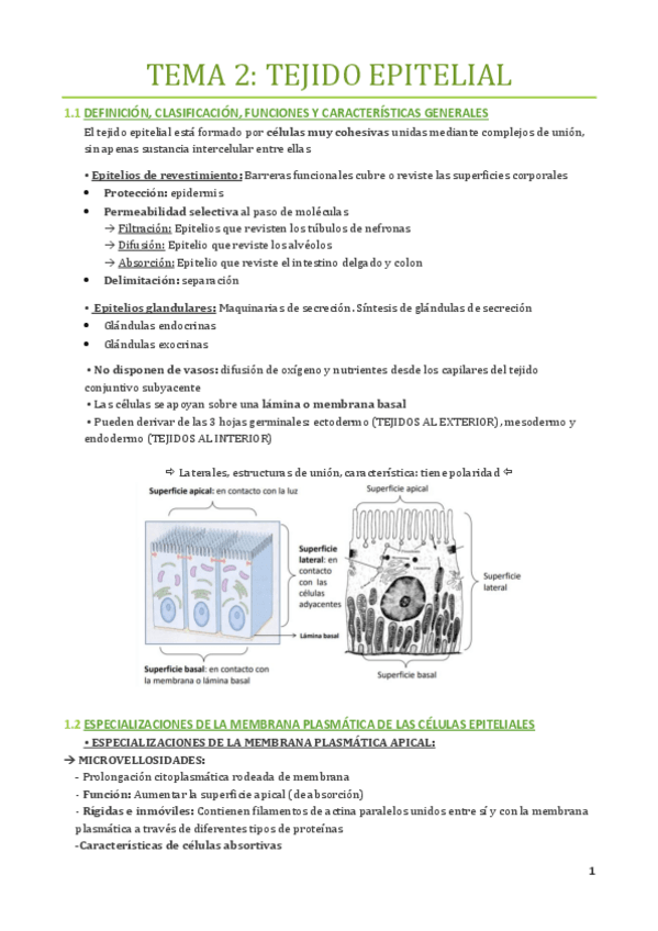 Miniatura del documento TEMA-2.pdf