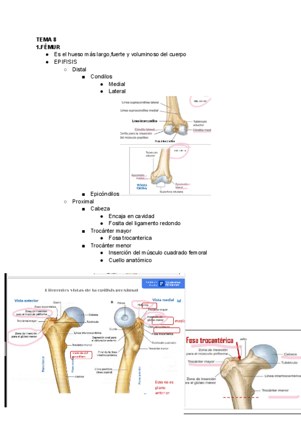 Miniatura del documento Tema-8.pdf