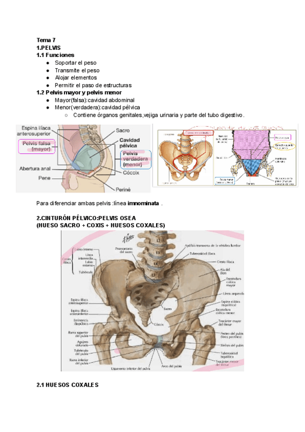 Miniatura del documento Tema-7.pdf
