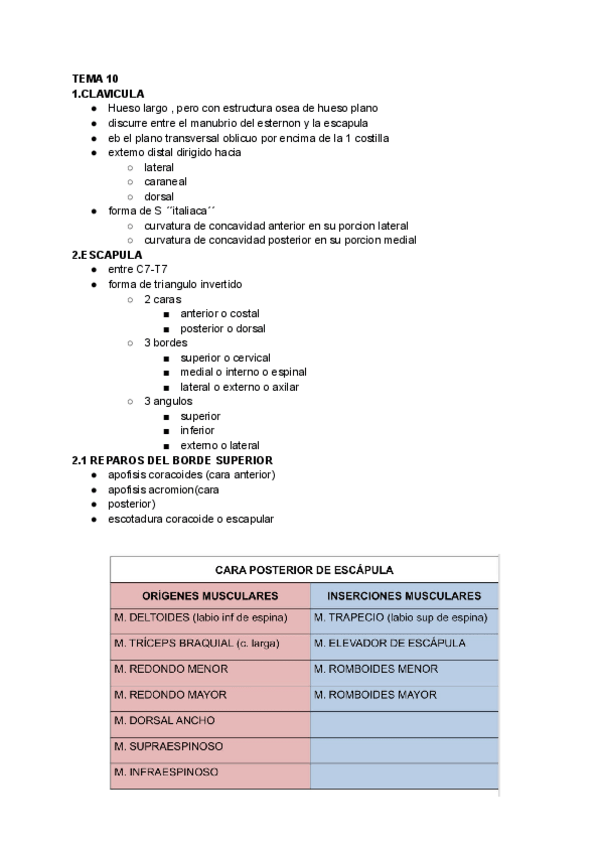 Miniatura del documento Tema-10.pdf